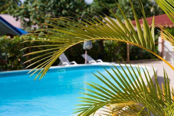 Hotel Le Rotabas ساينت آن المظهر الخارجي الصورة